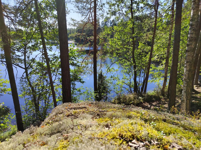 Kintulammi Nature Experience (Nature reserve near Tampere) - What the $106 price really covers