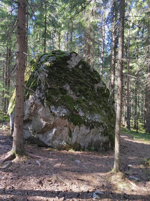 Kintulammi Nature Experience (Nature reserve near Tampere) - Practical advice before you go
