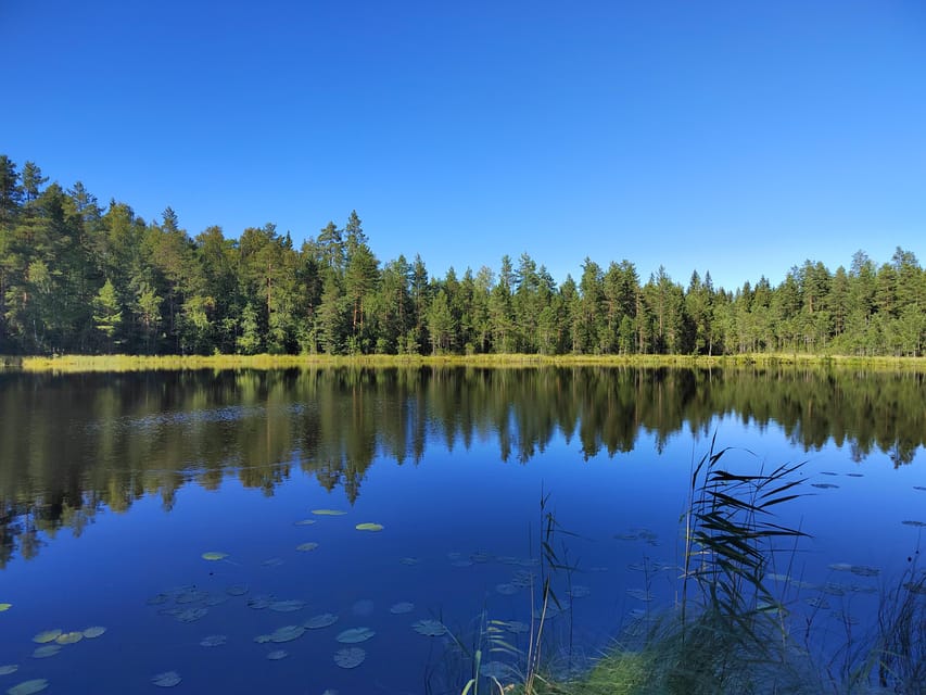 Kintulammi Nature Experience (Nature reserve near Tampere) - FAQ