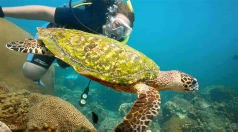 Koh Phangan: Angthong National Park Speedboat Tour - Buffet lunch at a local restaurant