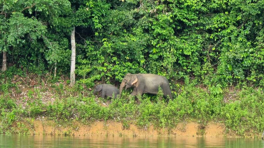 Krabi: Khao Sok National Park & Cheow Lan Lake Boat Tour - Khao Sam Kloe, the lake’s signature view