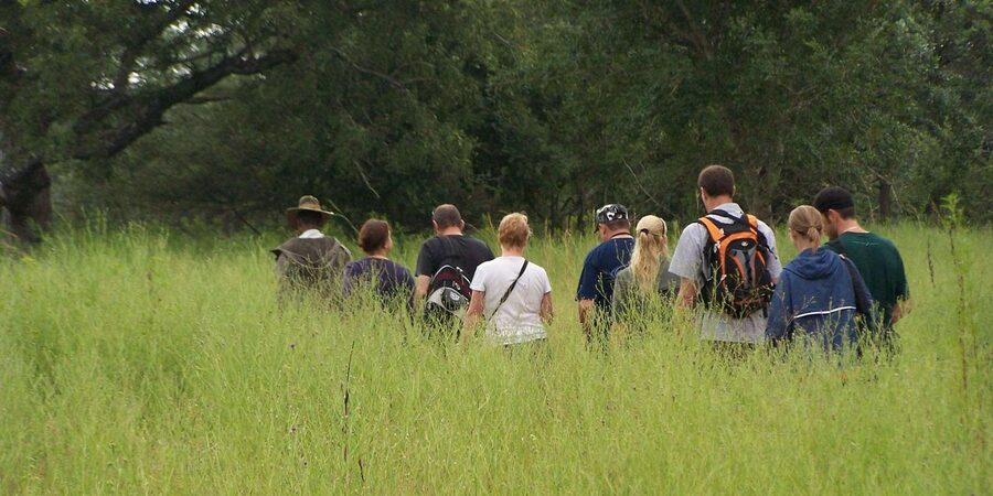 Kruger National Park: 3-Day Essence of the Kruger Safari - Day 2: A full day inside Kruger National Park