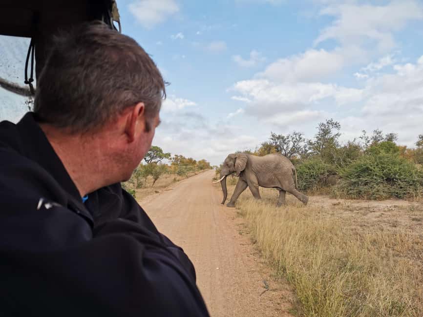 Kruger National Park: 3-Day Essence of the Kruger Safari - Day 3: A morning walk before the return journey