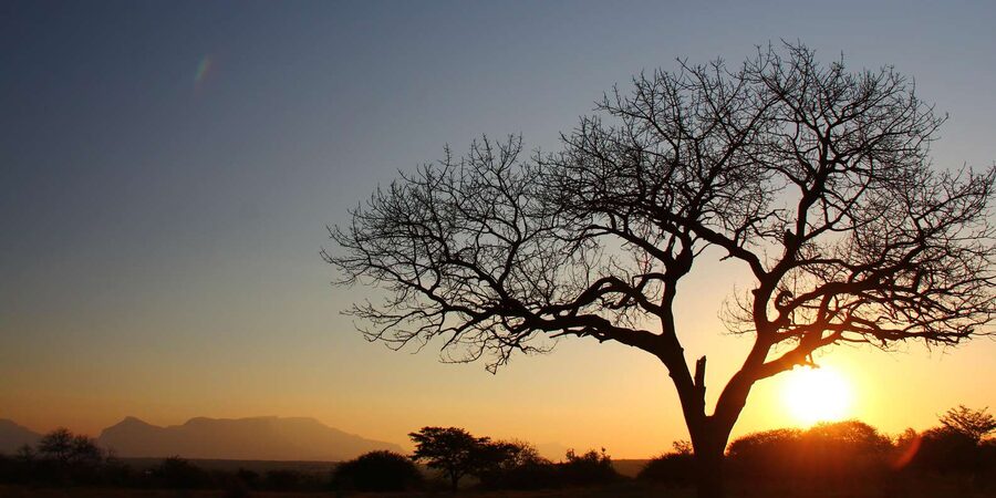Kruger National Park: 3-Day Essence of the Kruger Safari - What the $703 price includes