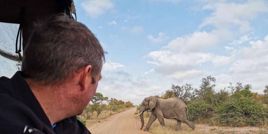 Kruger National Park: 3-Day Essence of the Kruger Safari - Should you book it?