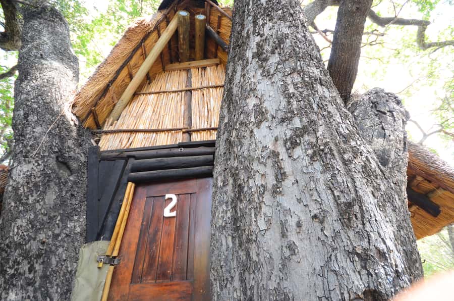 Kruger National Park: 3-Day Safari Tour and Treehouse Stay - Booking details that matter