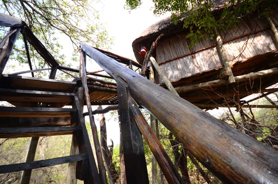 Kruger National Park: 3-Day Safari Tour and Treehouse Stay - What the three days actually feel like