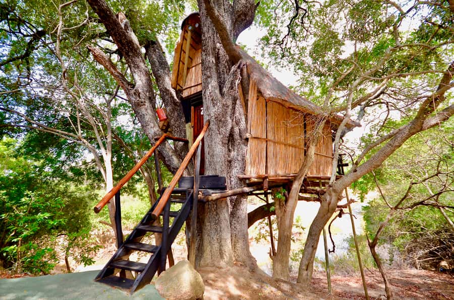 Kruger National Park: 3-Day Safari Tour and Treehouse Stay - Day two: open-sided safari in Kruger National Park