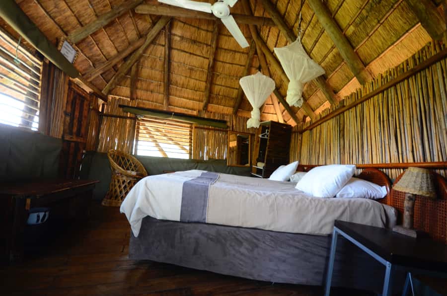 Kruger National Park: 3-Day Safari Tour and Treehouse Stay - The treehouse question at Marc’s Treehouse Lodge