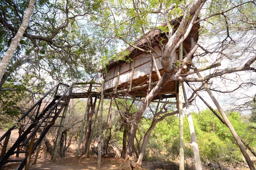 Kruger National Park: 3-Day Safari Tour and Treehouse Stay - Day three: sunrise on foot and the Panorama Route