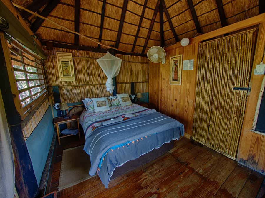 Kruger National Park: 3-Day Safari Tour and Treehouse Stay - How good is the wildlife viewing?