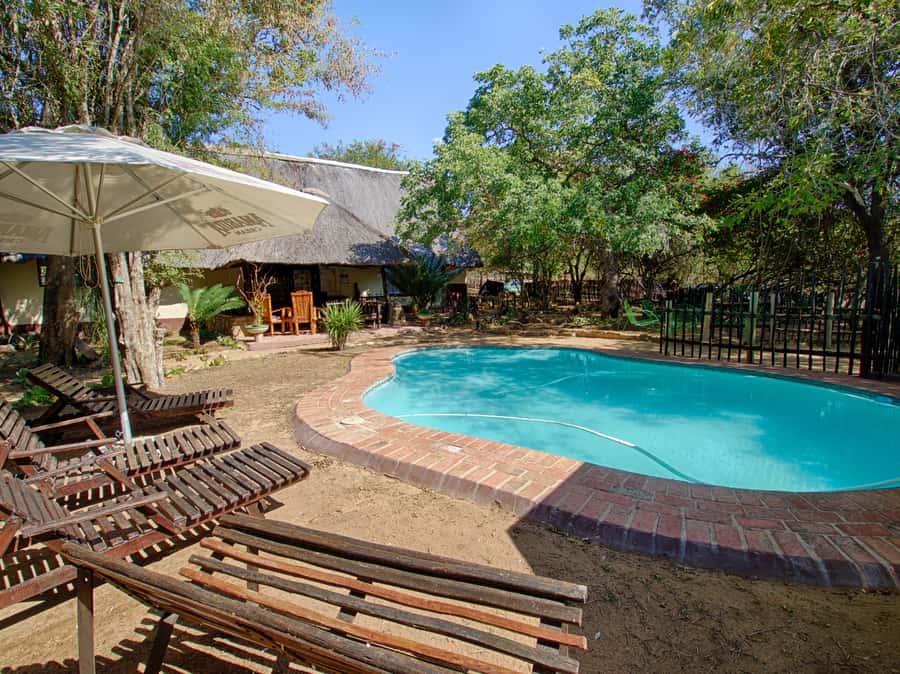 Kruger National Park: 3-Day Safari Tour and Treehouse Stay - Meals, drinks, and the real cost
