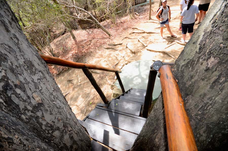 Kruger National Park: 3-Day Safari Tour and Treehouse Stay - Who will enjoy this safari most?