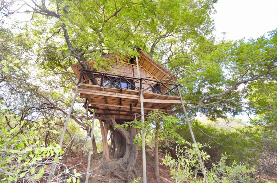Kruger National Park: 3-Day Safari Tour and Treehouse Stay - Day one: from Johannesburg to Balule