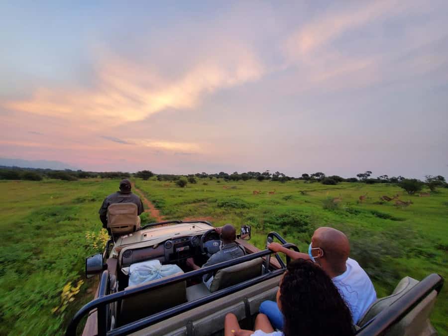 Kruger National Park: 3 Day Safari Tour - Day one: Johannesburg to the Hoedspruit area