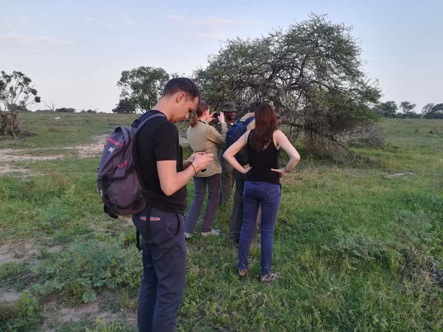 Kruger National Park: 3-Hour Walking Safari - Should You Book It?
