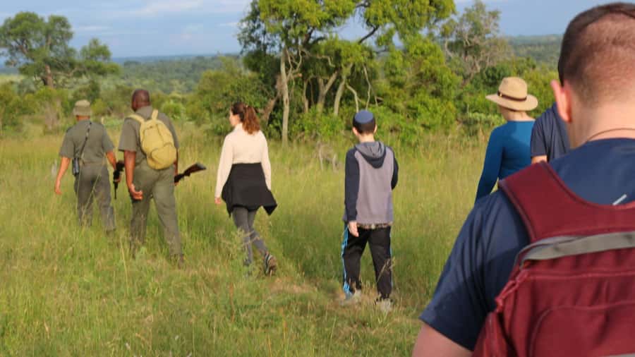 Kruger National Park: 3-Hour Walking Safari - What the $138 Price Covers