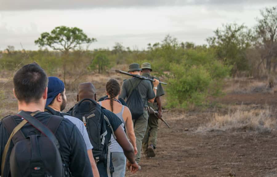 Kruger National Park: 3-Hour Walking Safari - A Small Group With an English Speaking Guide