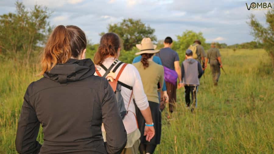 Kruger National Park: 3-Hour Walking Safari - Who Should Book This Walking Safari