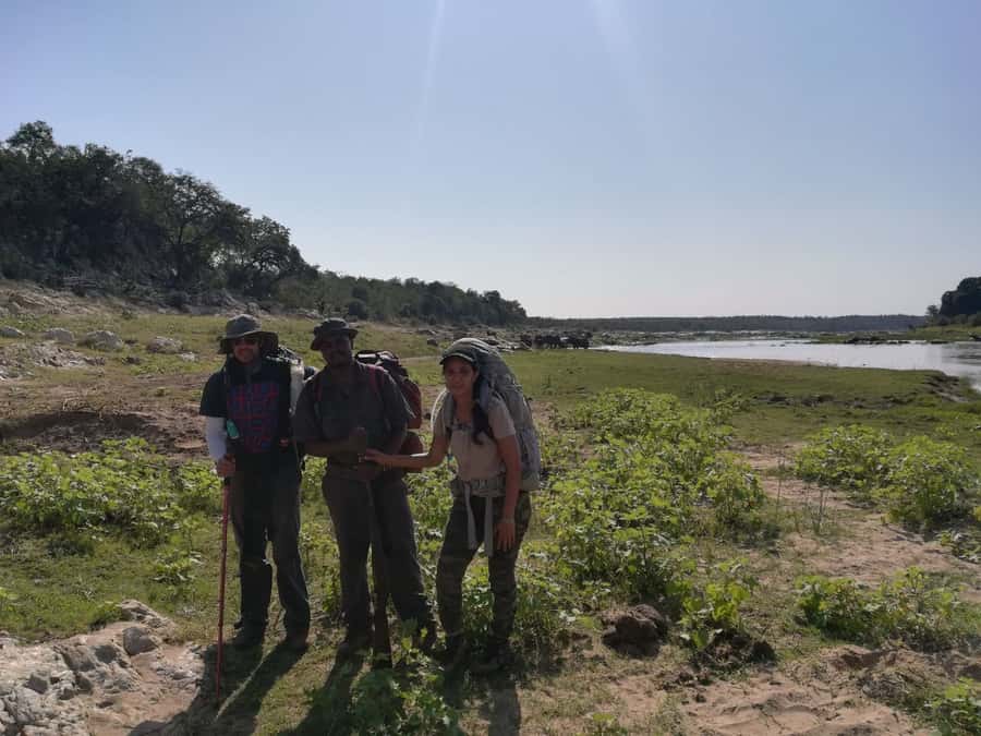 Kruger National Park: 3-Hour Walking Safari - Three Hours of Tracking on Foot