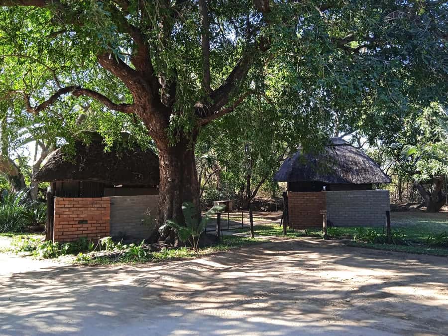 Kruger National Park - 4 Day Safari Tour - Who will enjoy this safari most