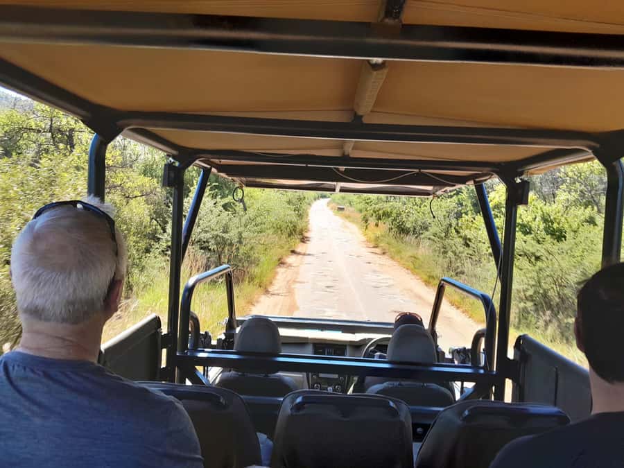 Kruger National Park: 4-Day Ultimate Safari Tour - Why this four-day Kruger plan works