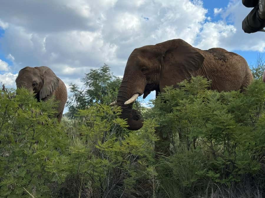 Kruger National Park: 4-Day Ultimate Safari Tour - Day one: from Johannesburg to Blyde River Canyon