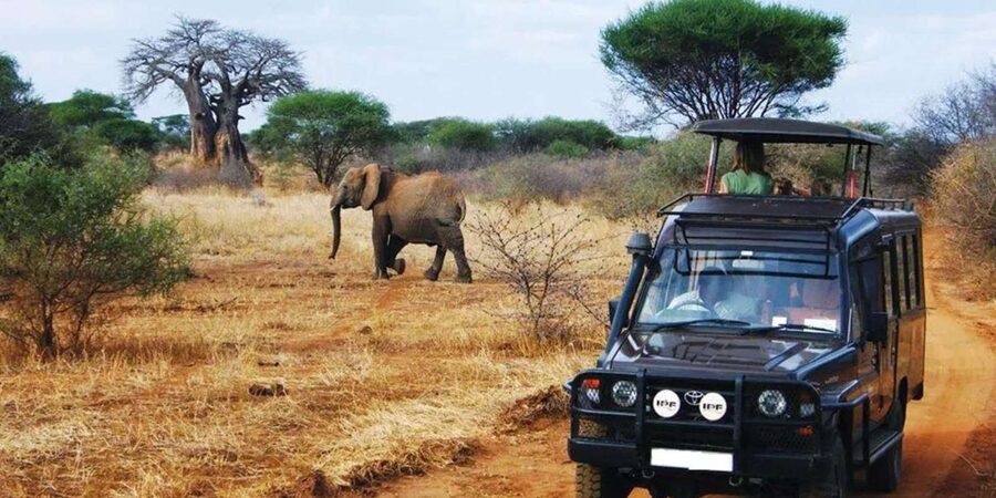 Kruger National Park & Blyde River Canyon 4 Day Safari - The Road from Johannesburg to Kruger