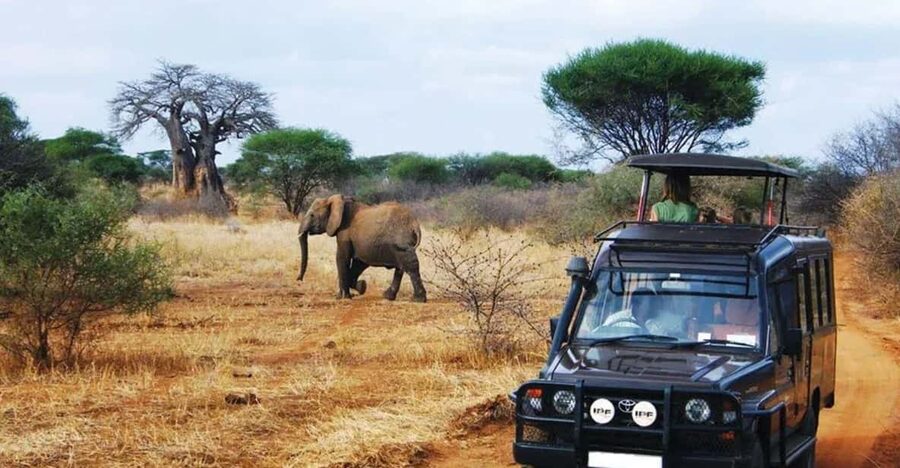 Kruger National Park & Blyde River Canyon 4 Day Safari - The Full-Day Kruger Safari