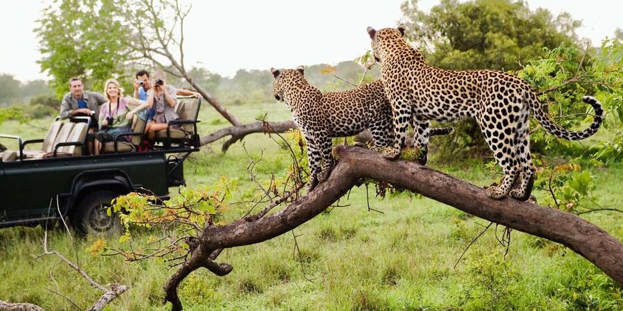 Kruger National Park & Blyde River Canyon 4 Day Safari - Bourke’s Luck Potholes Up Close