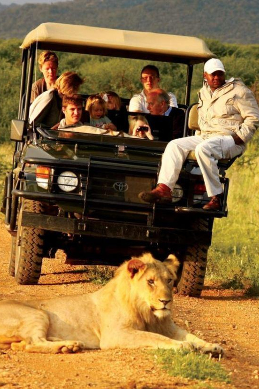 Kruger National Park & Blyde River Canyon 4 Day Safari - The Return to Johannesburg