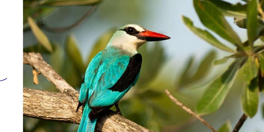 Kruger National Park & Blyde River Canyon 4 Day Safari - Lodging, Meals, and Daily Comfort