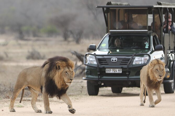 Kruger National Park Full Day Private safari - Breakfast at a rest camp and lunch at your own cost
