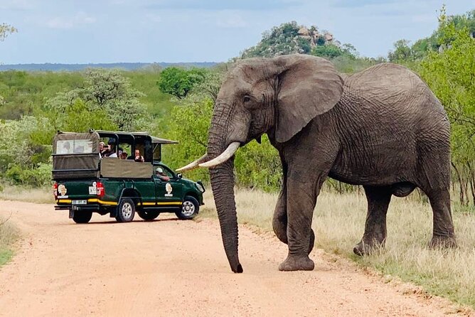 Kruger National Park Full Day Private safari - What the $158.16 price includes, and what it does not