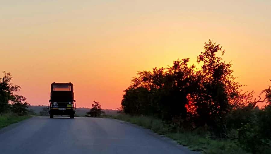Kruger National Park: Full-Day Private Safari With Pickup - The private vehicle changes the feel of the day