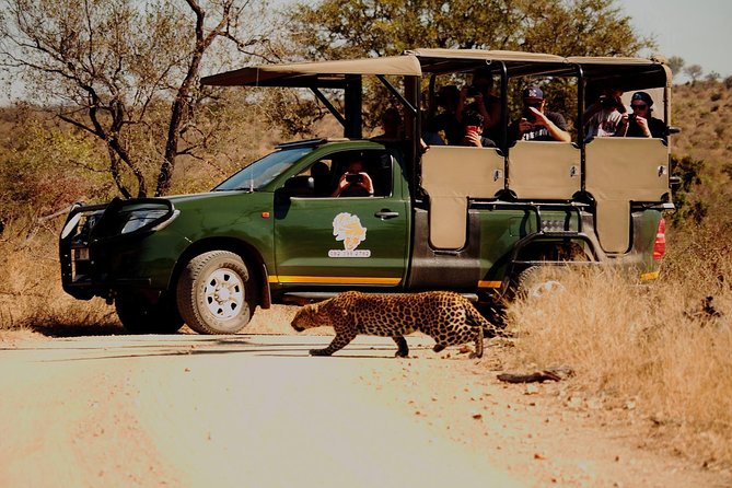 Kruger National Park Full Day Private safari - A private Kruger day, not a fixed group outing