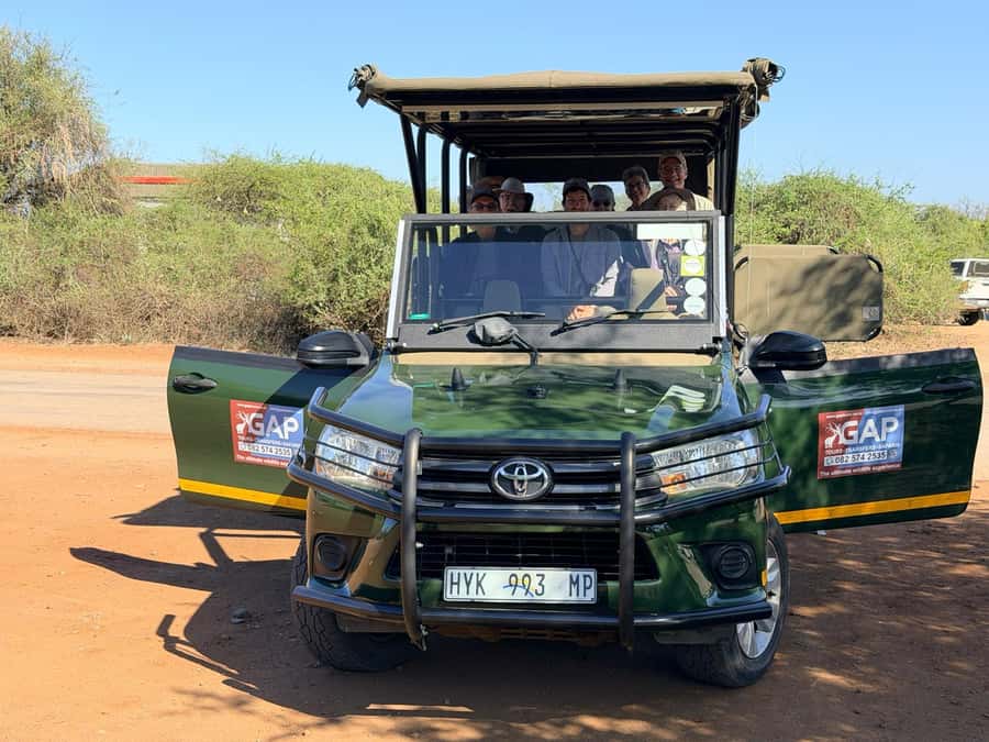 Kruger National Park Full-Day Safari - Choosing between an open and closed safari vehicle