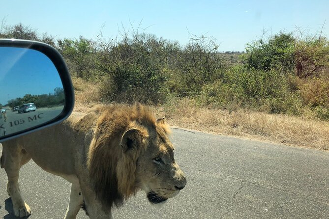 Kruger National Park Full-Day Tour - Why this Maputo to Kruger day is worth considering