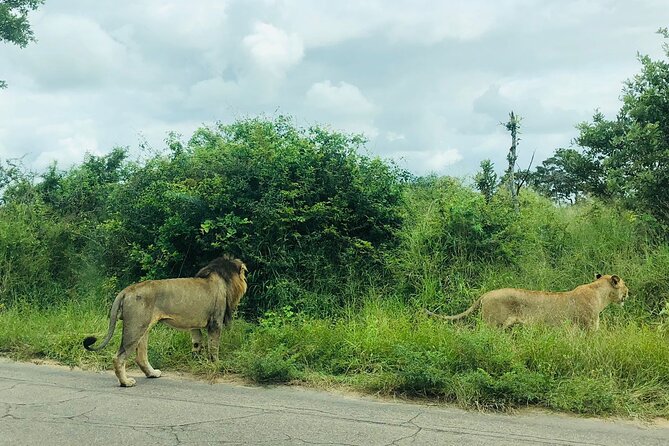Kruger National Park Full-Day Tour - The value of the $250 price