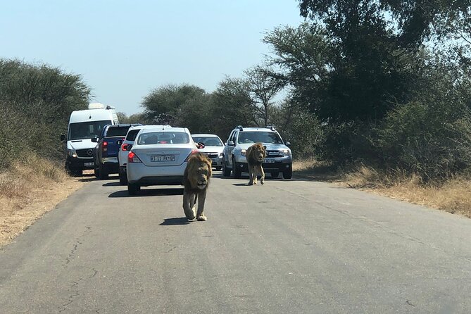 Kruger National Park Full-Day Tour - Who should book this safari?