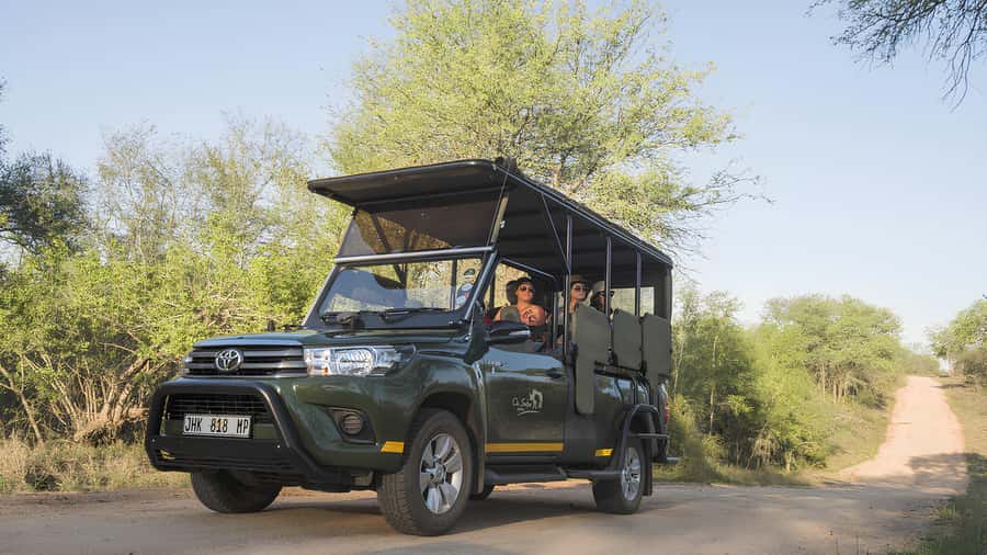 Kruger National Park Game Drive (Half-Day PM) - Looking for the Big Five without a promise