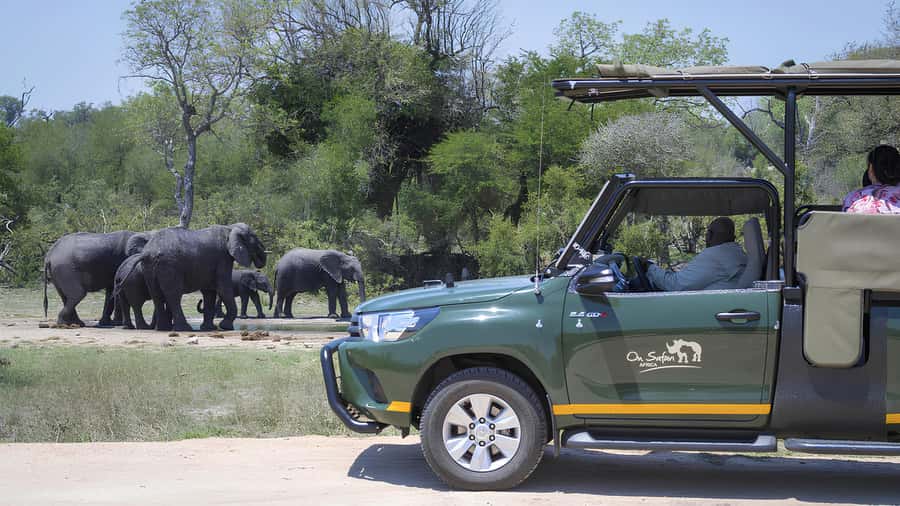 Kruger National Park Game Drive (Half-Day PM) - What the afternoon timing means