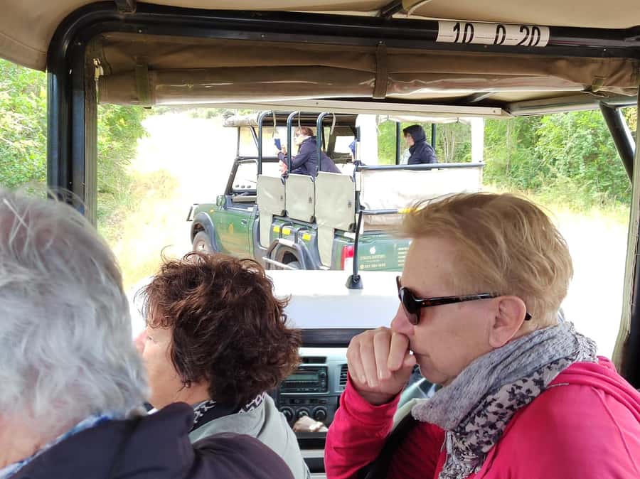 Kruger National Park half day - Searching for elephants, cats, and smaller clues