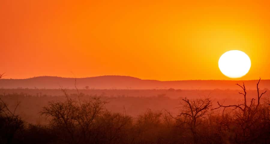 Kruger National Park half day - The mid-morning food and rest break