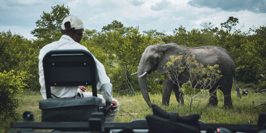 Kruger National Park half day - How to prepare for six hours in the bush