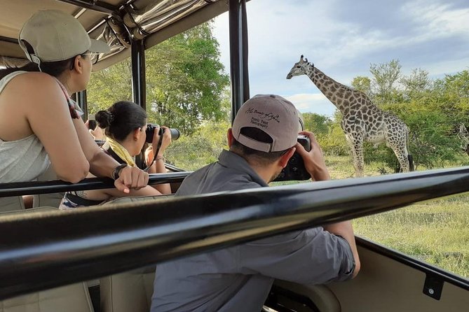 Kruger National Park Morning Safari 2 people minimum - Why the private format can improve the morning