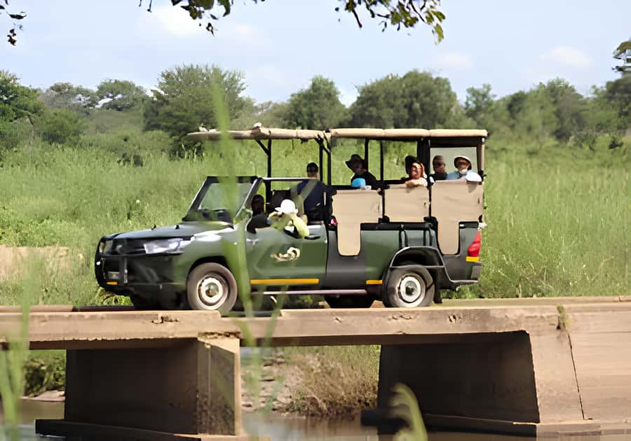 Kruger National Park Safari (Full Day) - Why a full day in Kruger makes sense