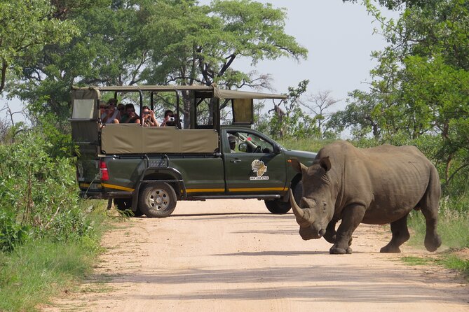 Kruger National Park sunrise Morning Private safari - Key points at a glance