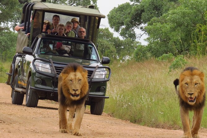 Kruger National Park sunrise Morning Private safari - Leaving Hazyview for Kruger National Park