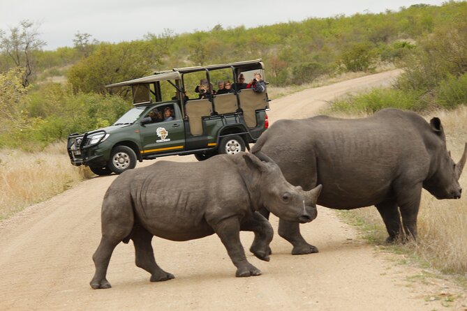 Kruger National Park sunrise Morning Private safari - The open vehicle changes what you see